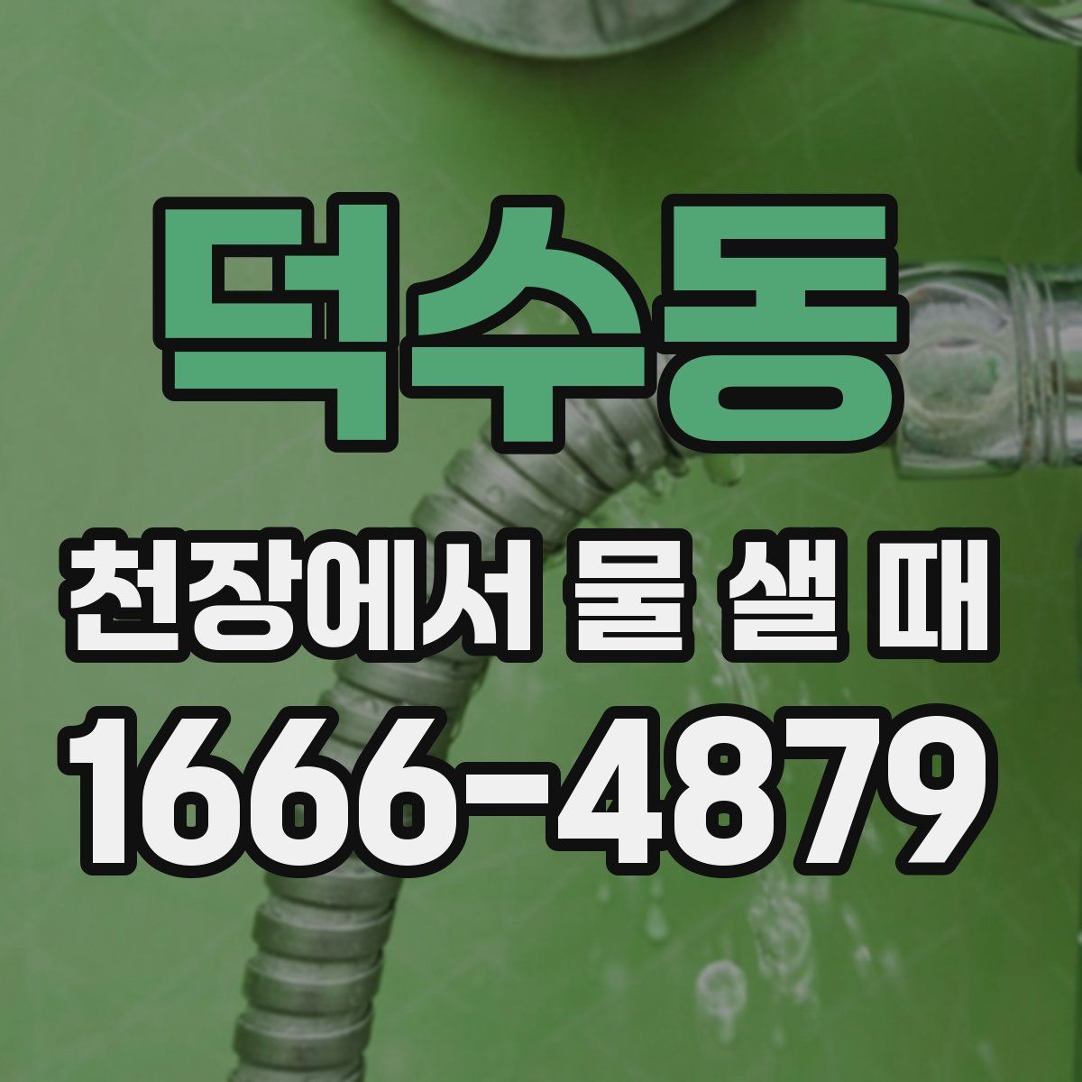 덕수동 천장에서 물 샐 때