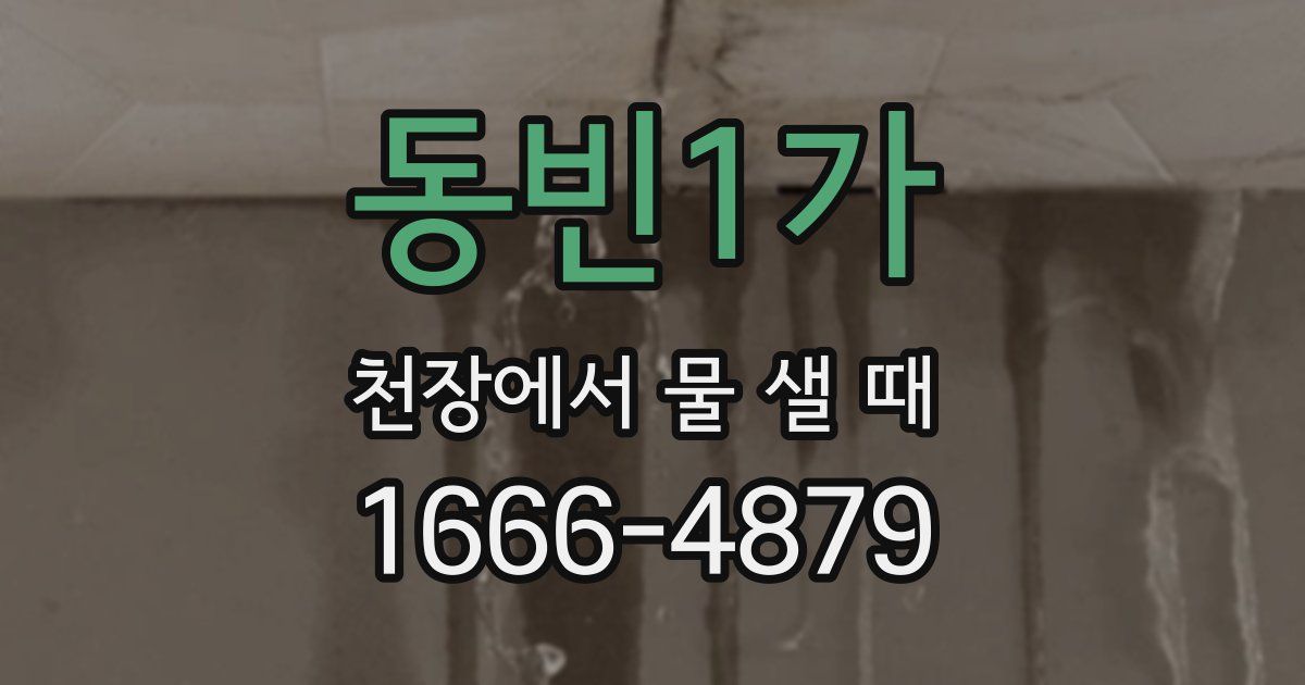 동빈1가 천장에서 물 샐 때