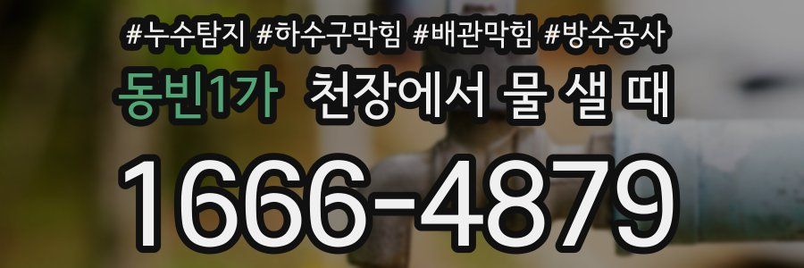 동빈1가 천장에서 물 샐 때