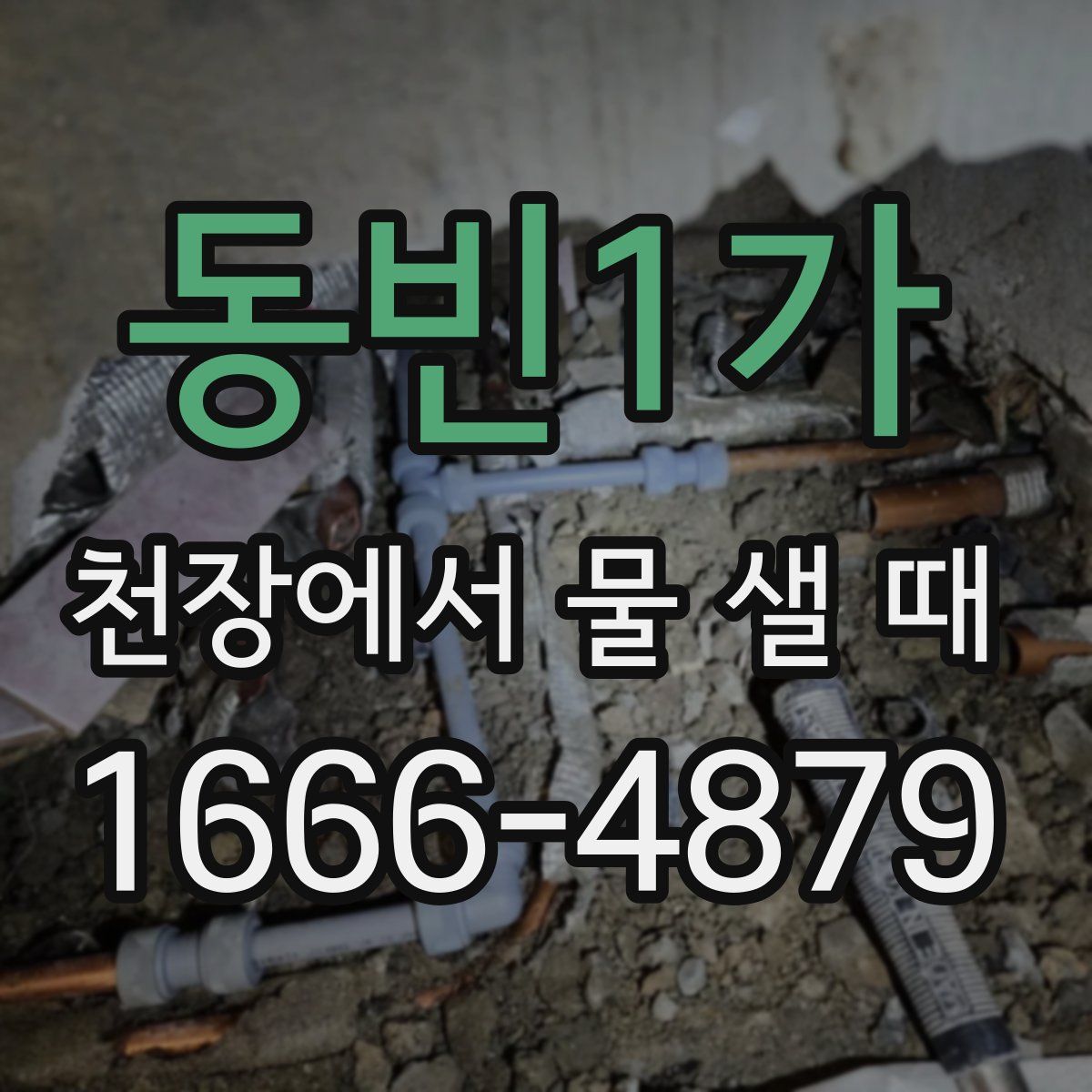 동빈1가 천장에서 물 샐 때