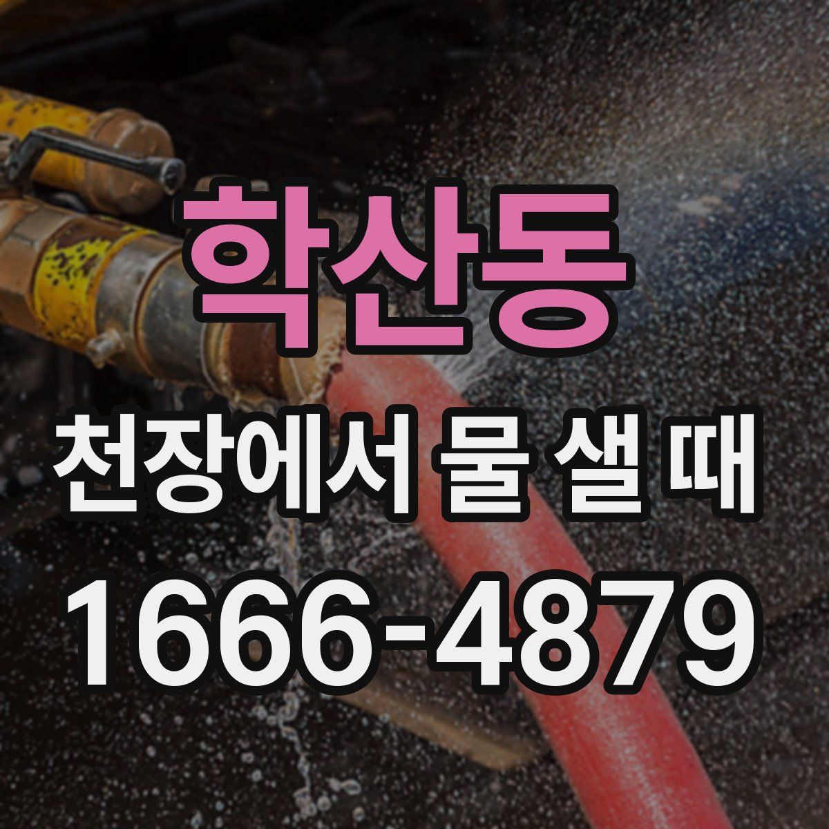 학산동 천장에서 물 샐 때