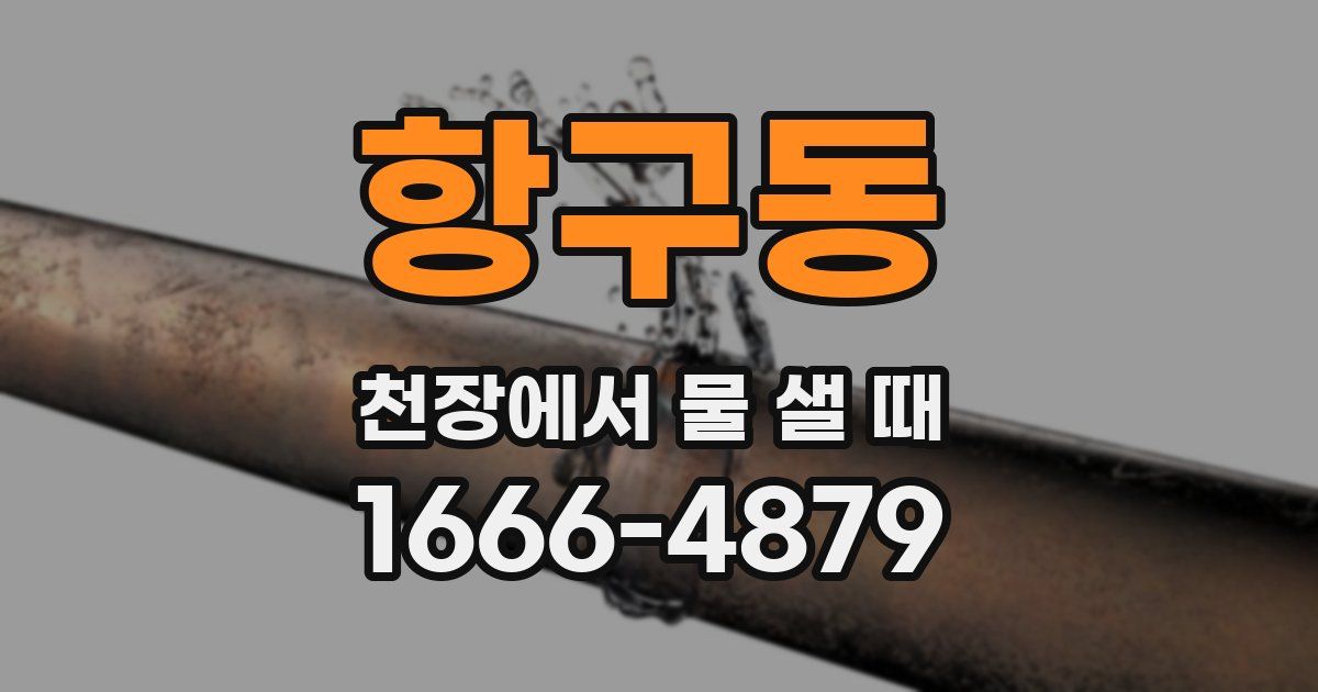 항구동 천장에서 물 샐 때
