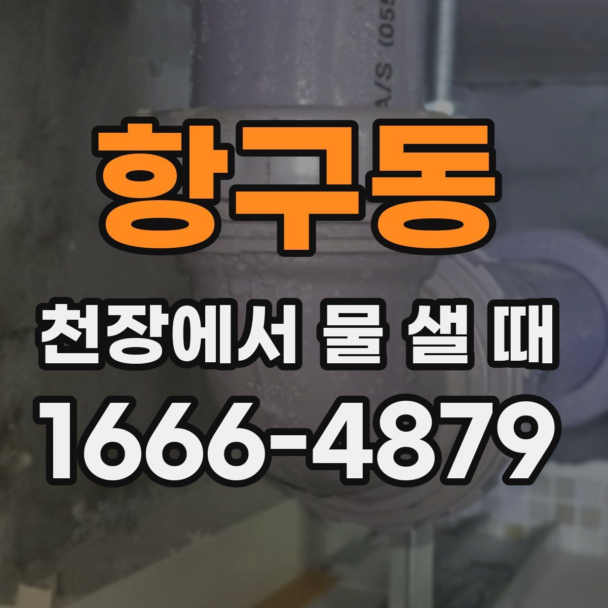 항구동 천장에서 물 샐 때