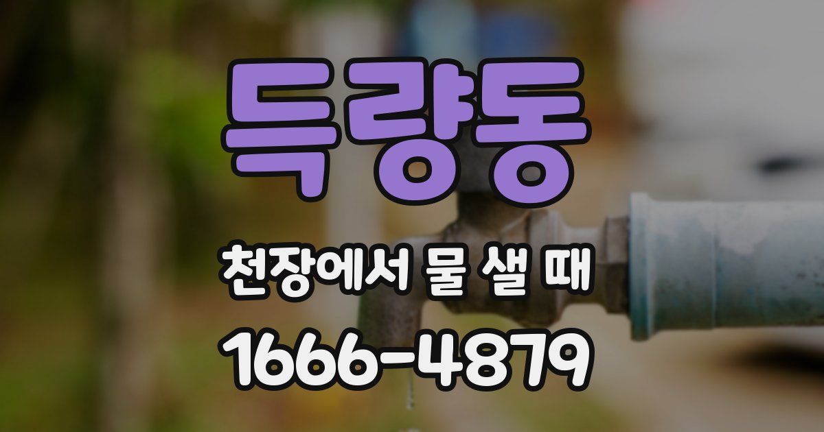 득량동 천장에서 물 샐 때