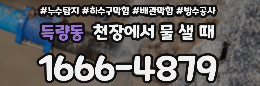 득량동 천장에서 물 샐 때