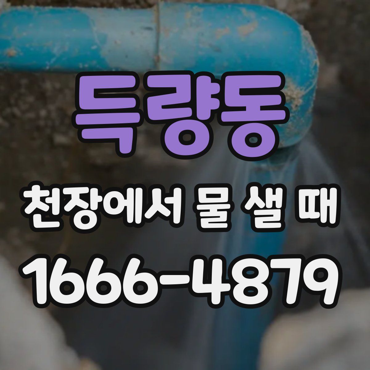 득량동 천장에서 물 샐 때