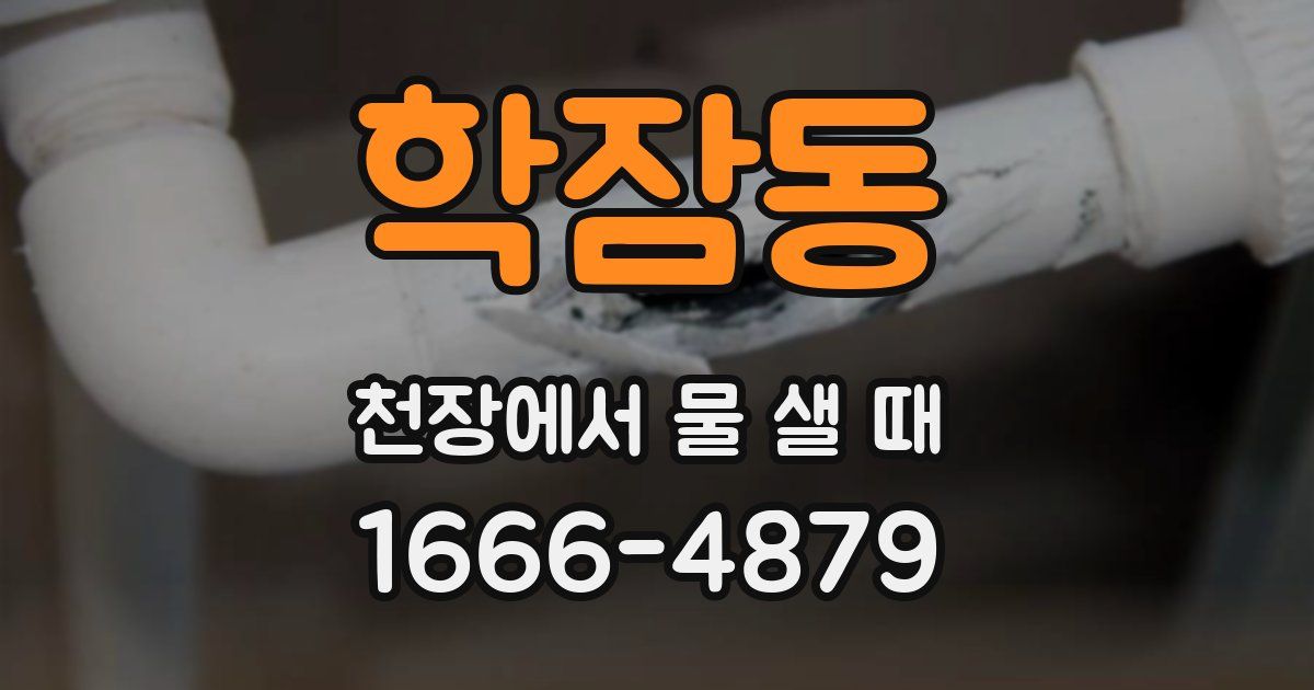 학잠동 천장에서 물 샐 때