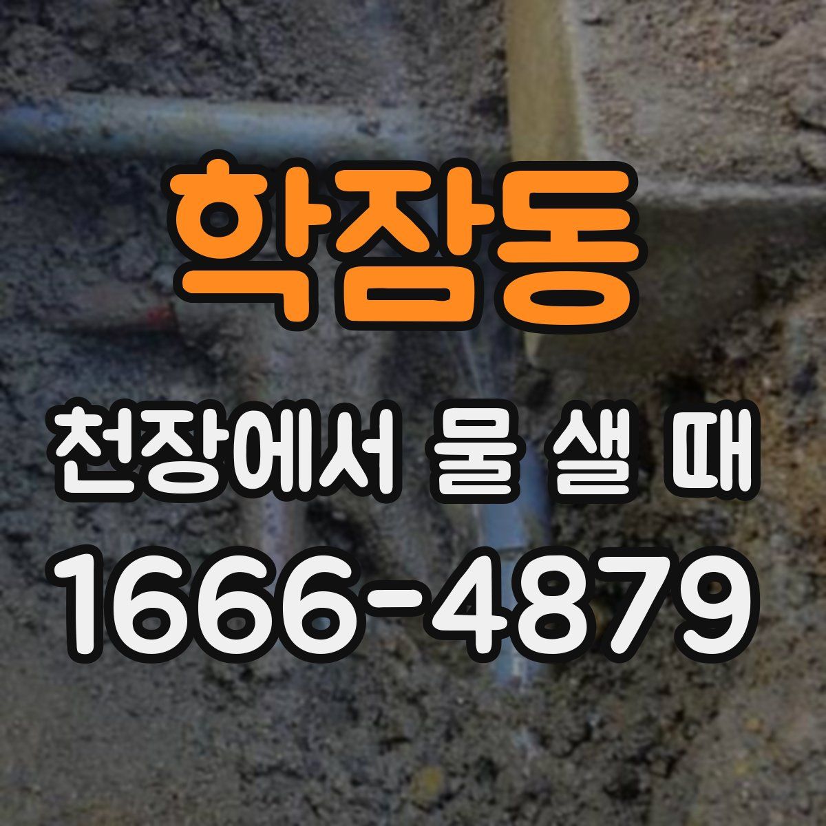 학잠동 천장에서 물 샐 때