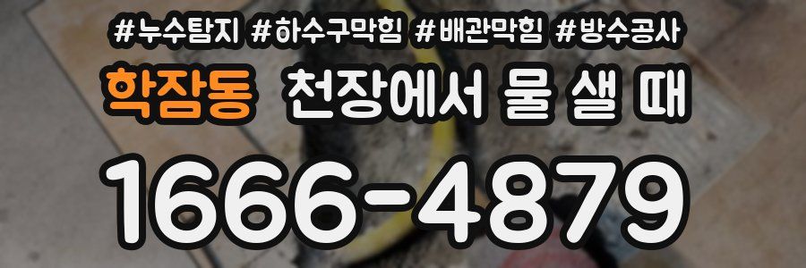 학잠동 천장에서 물 샐 때