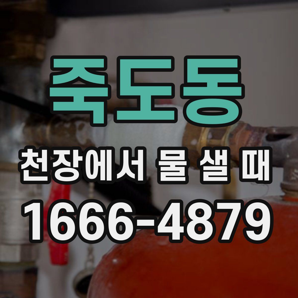죽도동 천장에서 물 샐 때