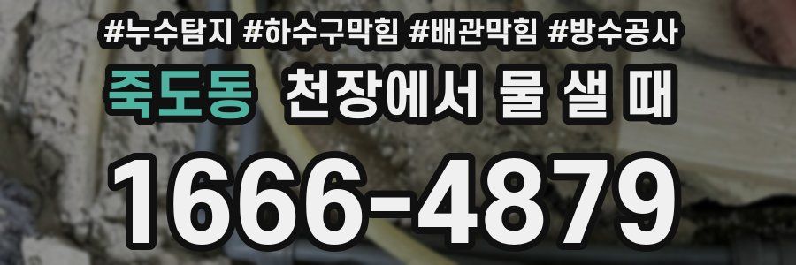 죽도동 천장에서 물 샐 때