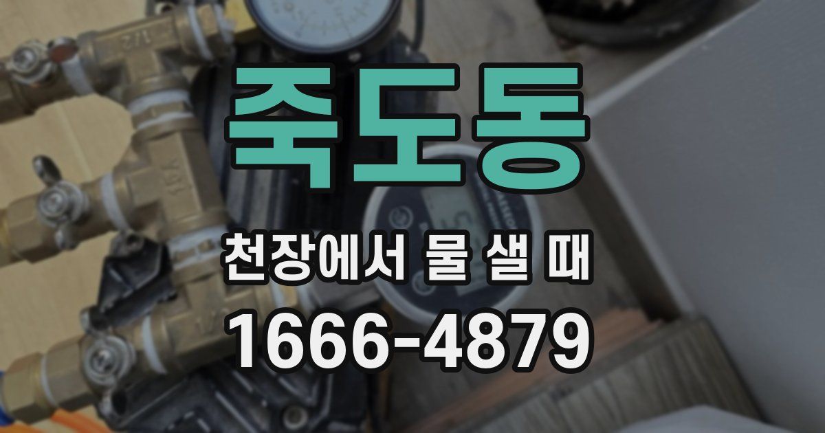 죽도동 천장에서 물 샐 때