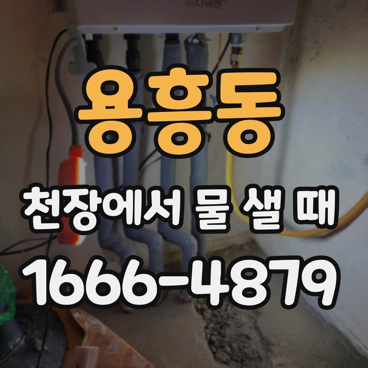 용흥동 천장에서 물 샐 때