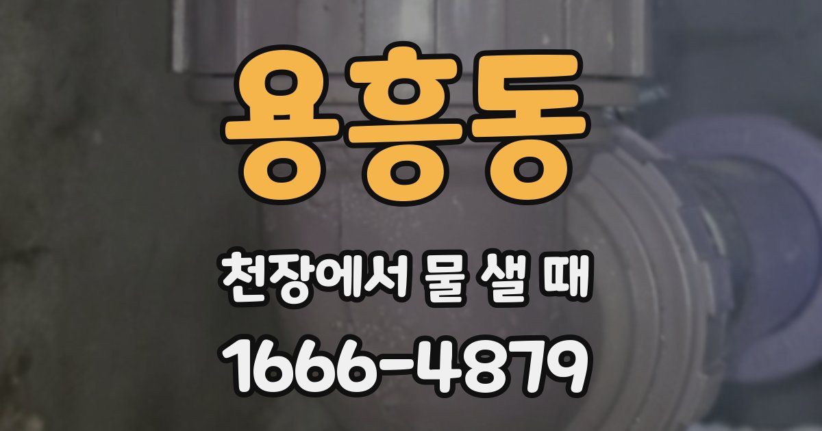 용흥동 천장에서 물 샐 때