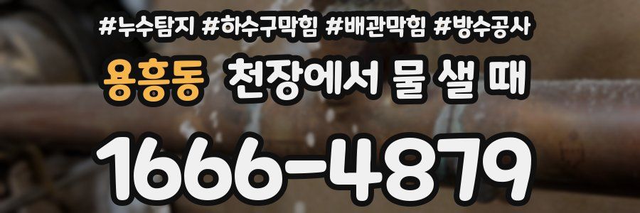 용흥동 천장에서 물 샐 때