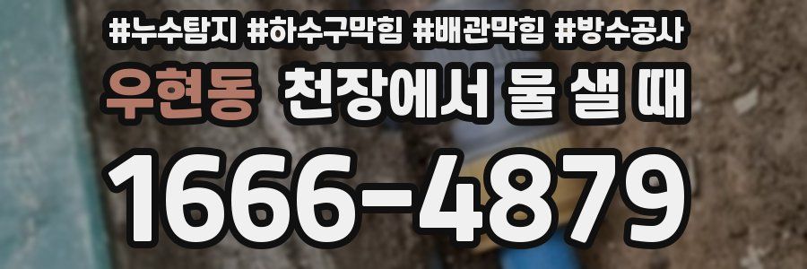 우현동 천장에서 물 샐 때