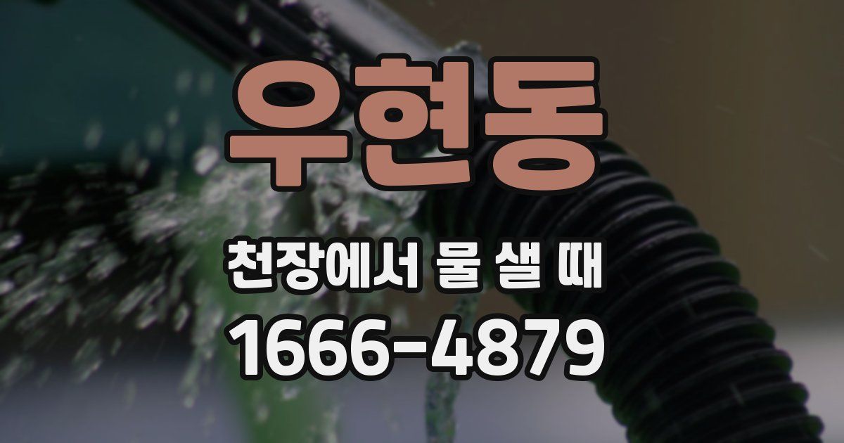 우현동 천장에서 물 샐 때