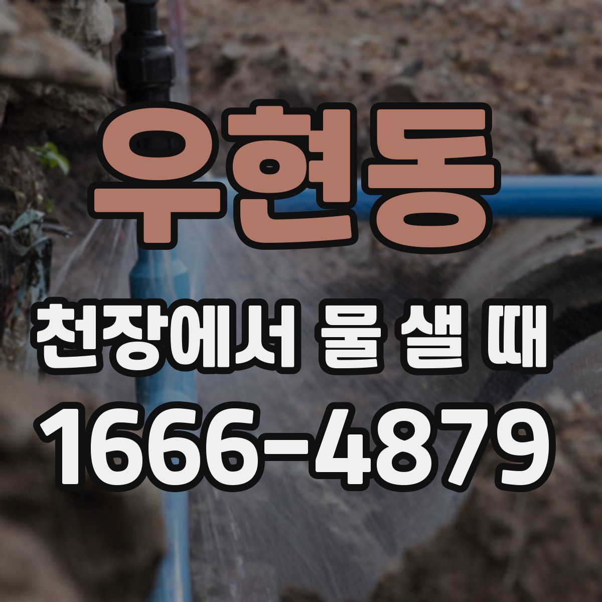우현동 천장에서 물 샐 때