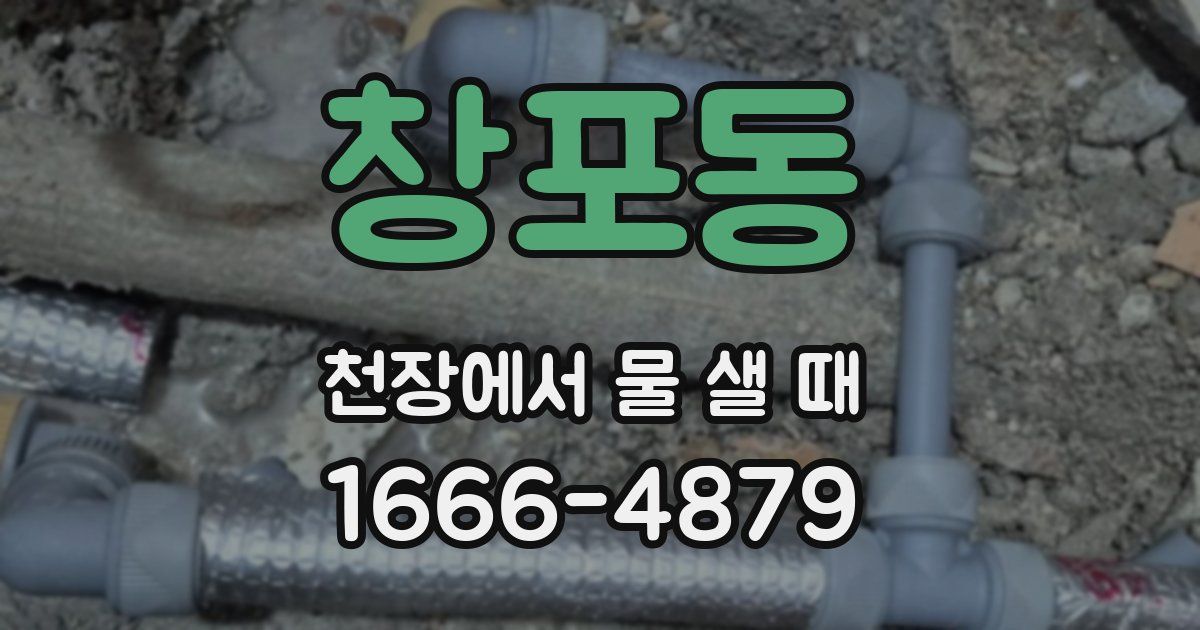 창포동 천장에서 물 샐 때