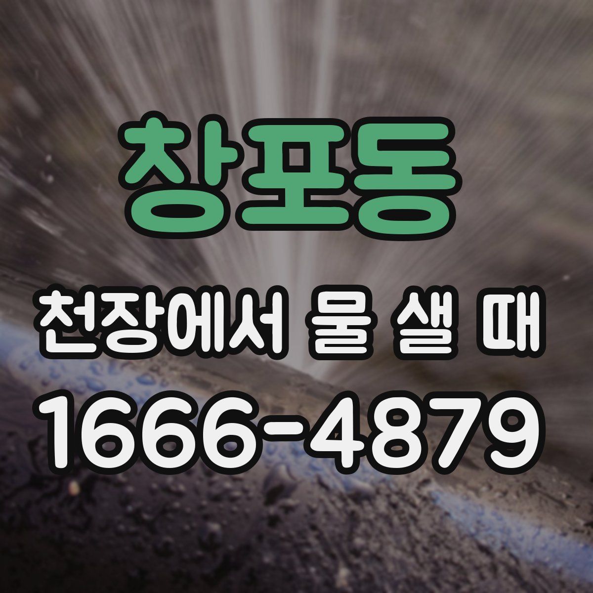 창포동 천장에서 물 샐 때