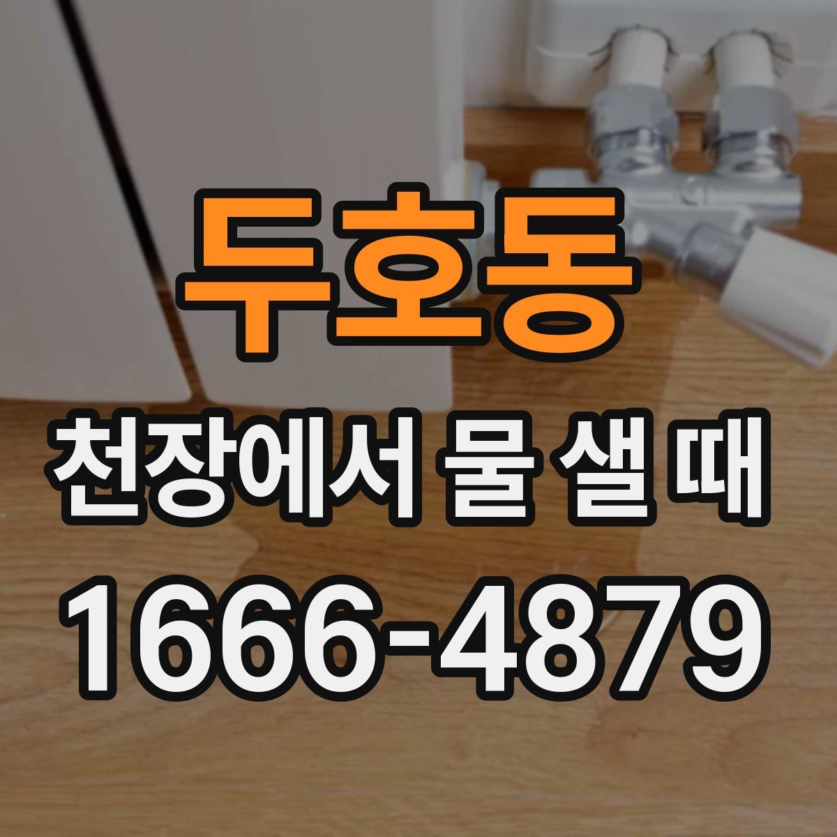 두호동 천장에서 물 샐 때