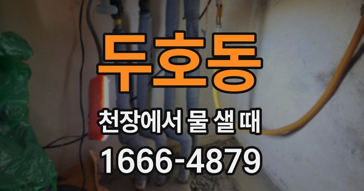 두호동 천장에서 물 샐 때