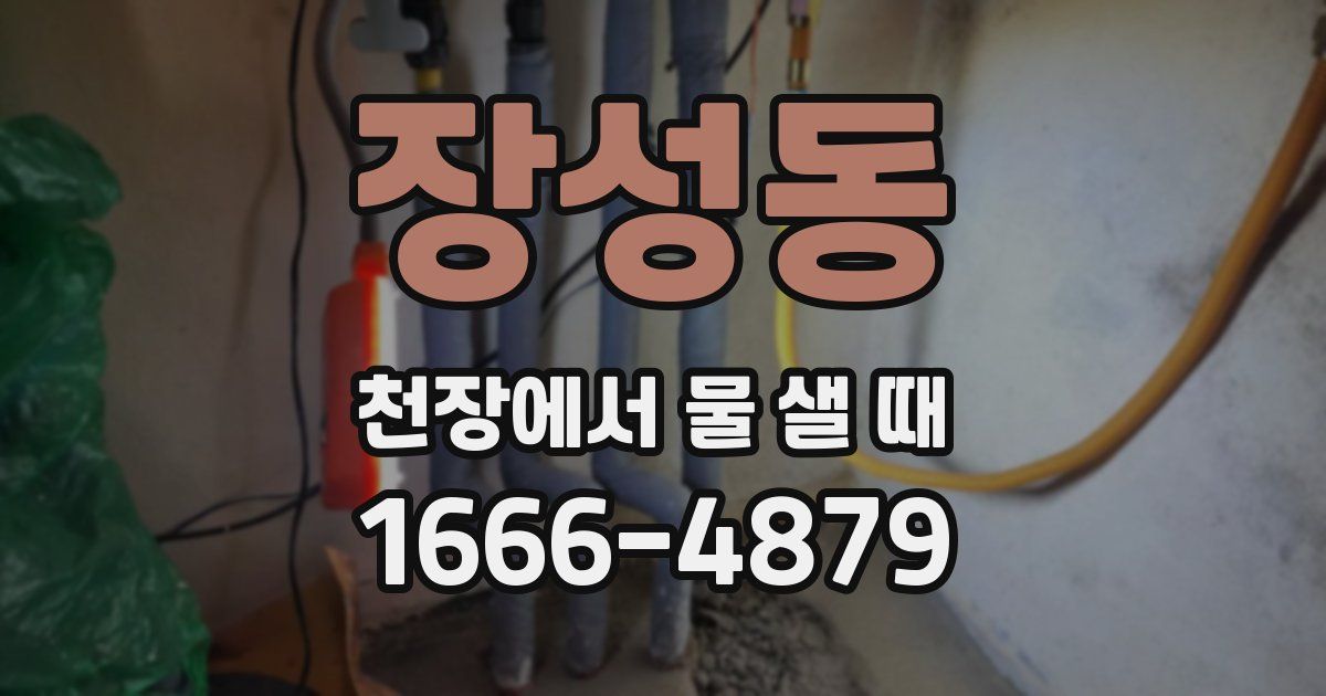 장성동 천장에서 물 샐 때