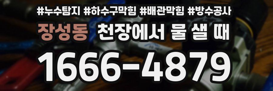 장성동 천장에서 물 샐 때