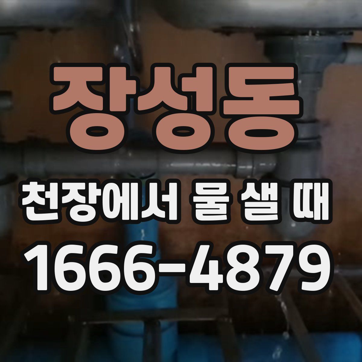 장성동 천장에서 물 샐 때