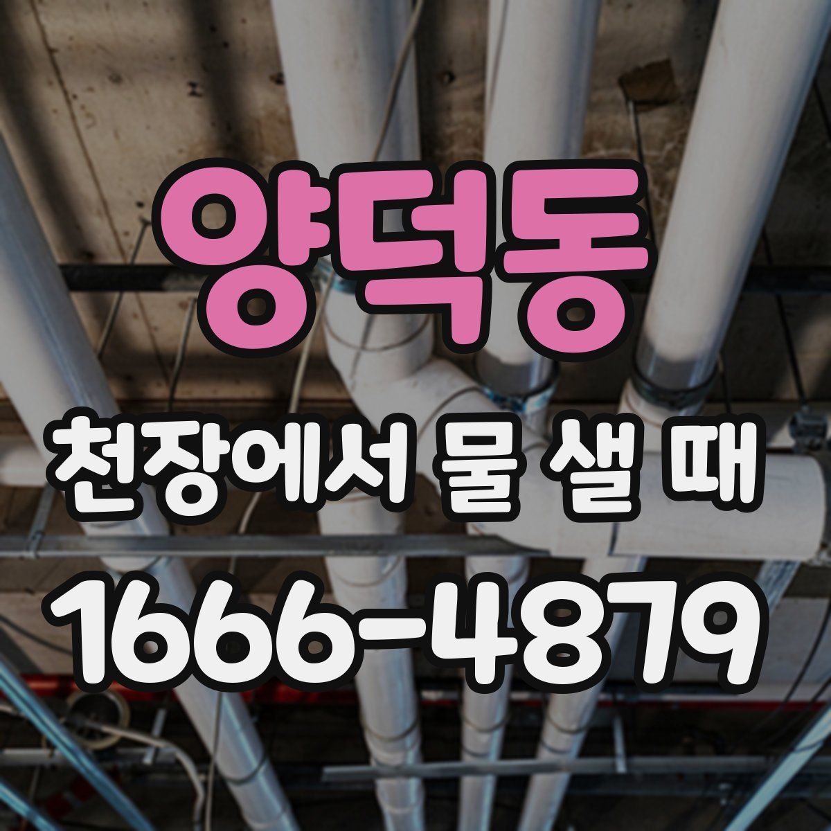 양덕동 천장에서 물 샐 때