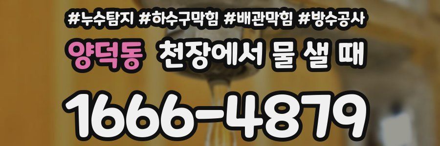 양덕동 천장에서 물 샐 때
