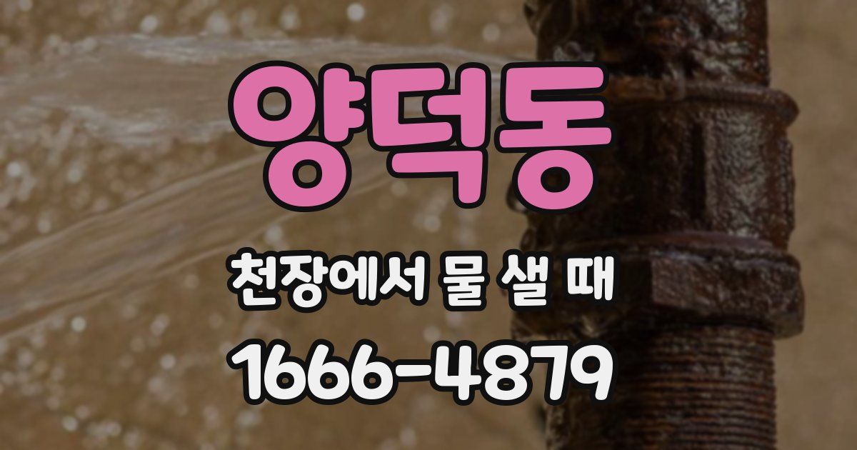 양덕동 천장에서 물 샐 때