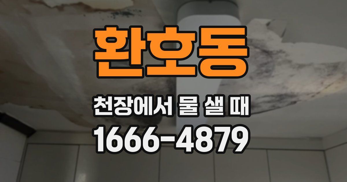 환호동 천장에서 물 샐 때
