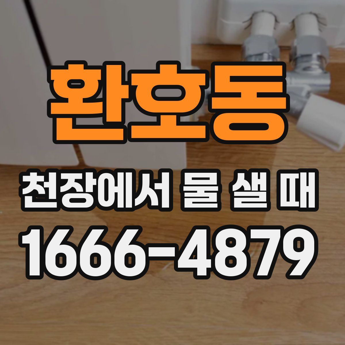 환호동 천장에서 물 샐 때
