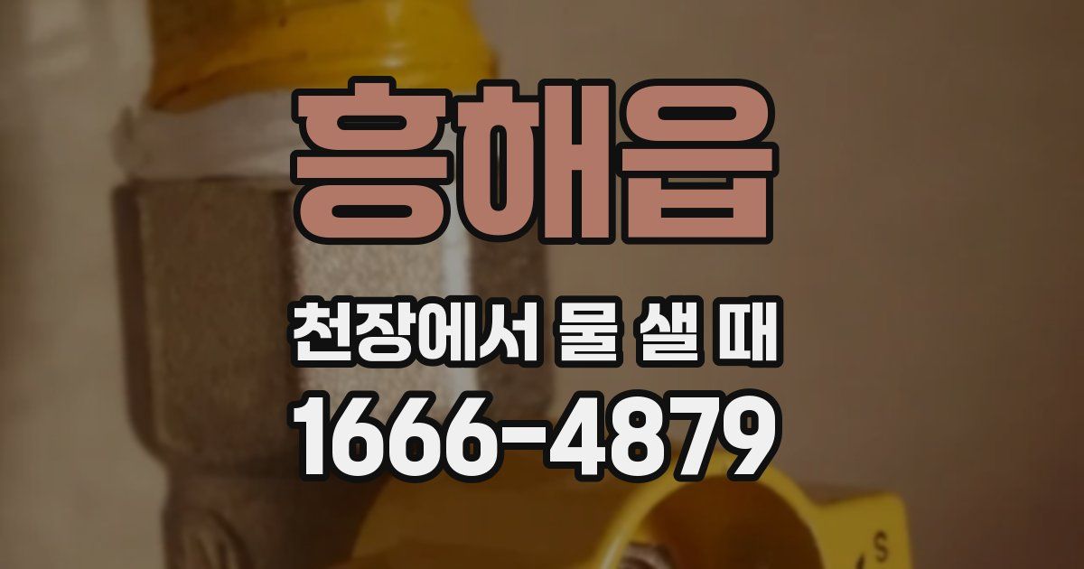 흥해읍 천장에서 물 샐 때