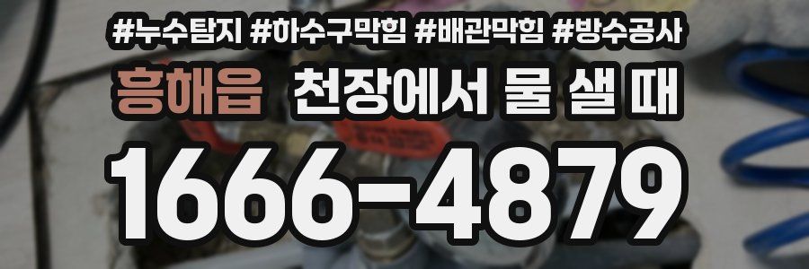 흥해읍 천장에서 물 샐 때