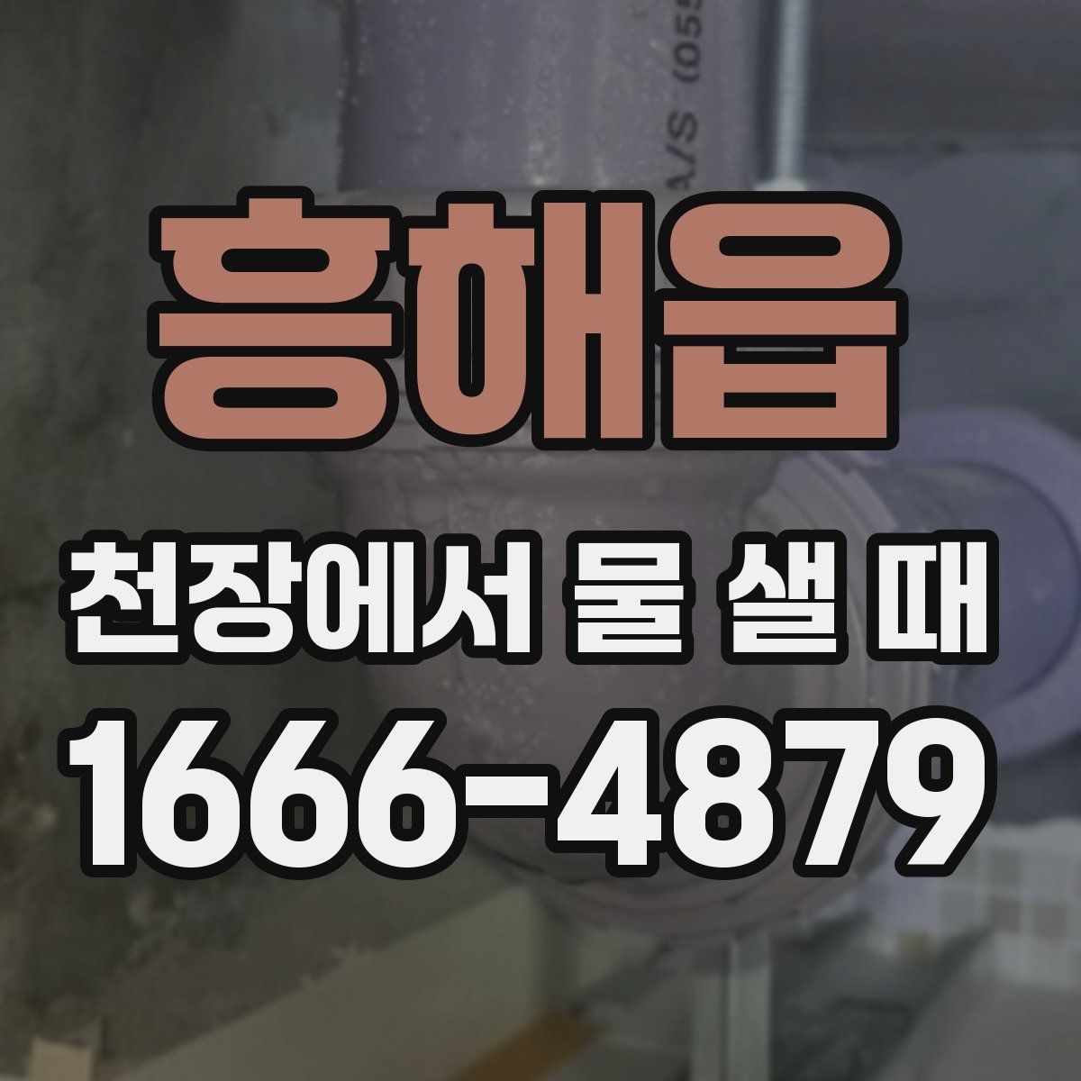 흥해읍 천장에서 물 샐 때
