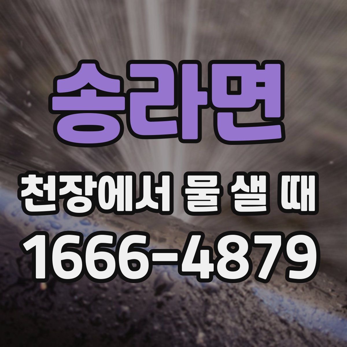 송라면 천장에서 물 샐 때