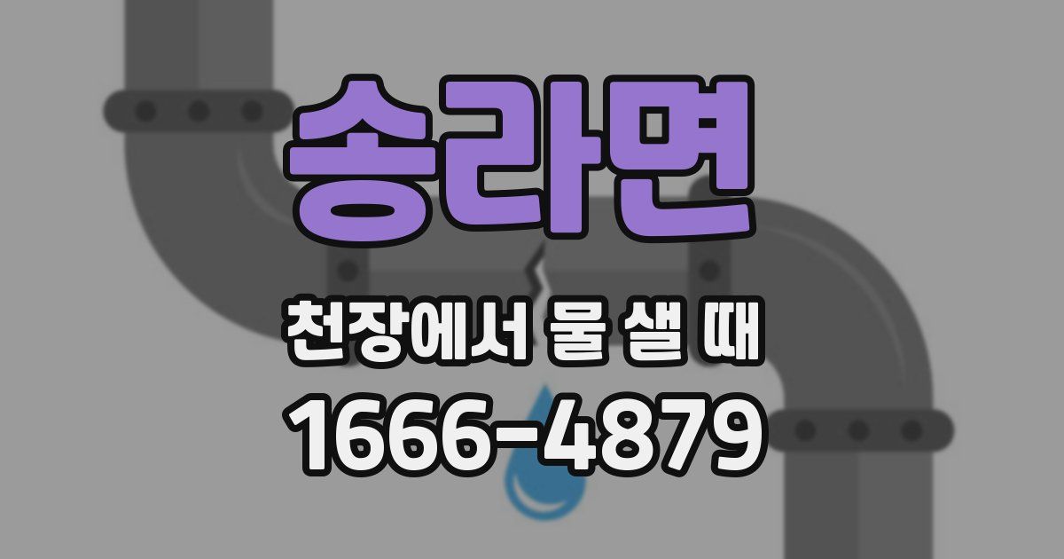 송라면 천장에서 물 샐 때