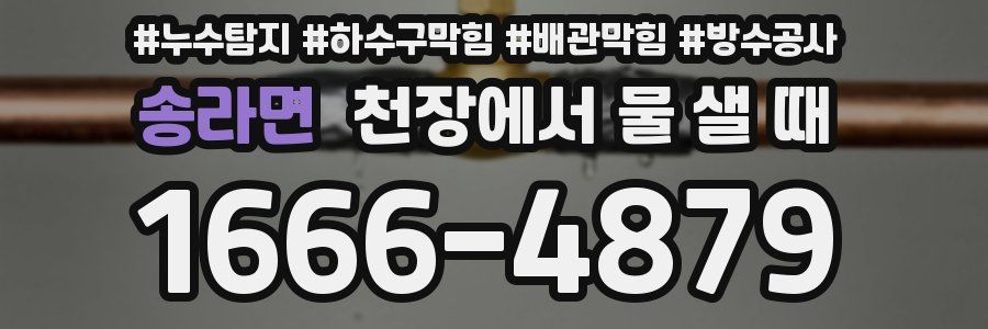 송라면 천장에서 물 샐 때