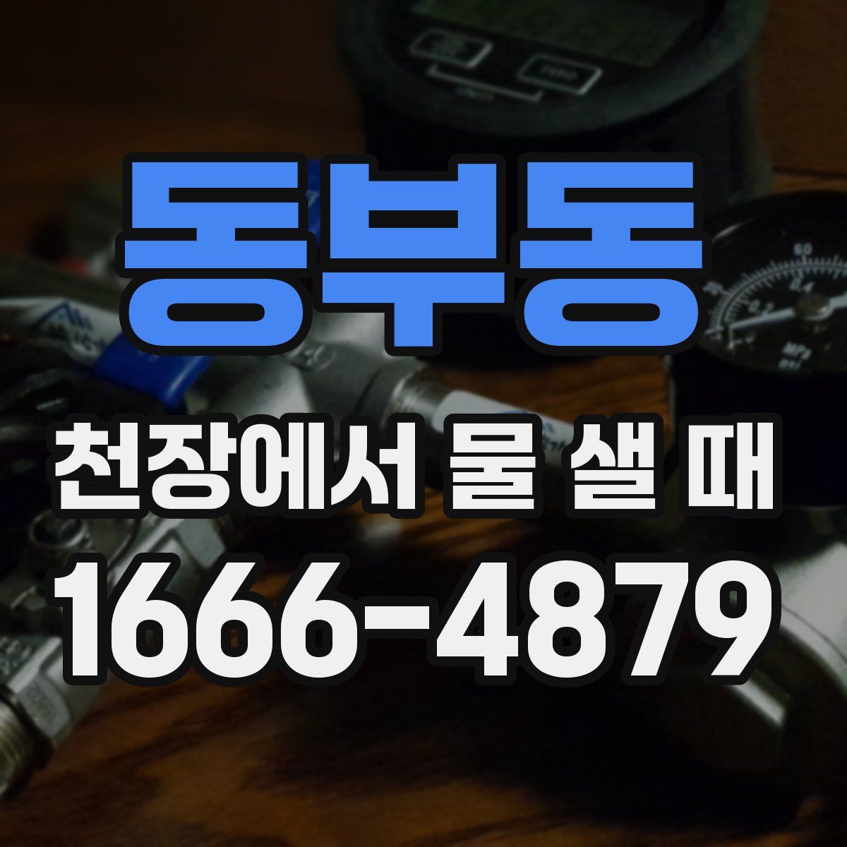 동부동 천장에서 물 샐 때