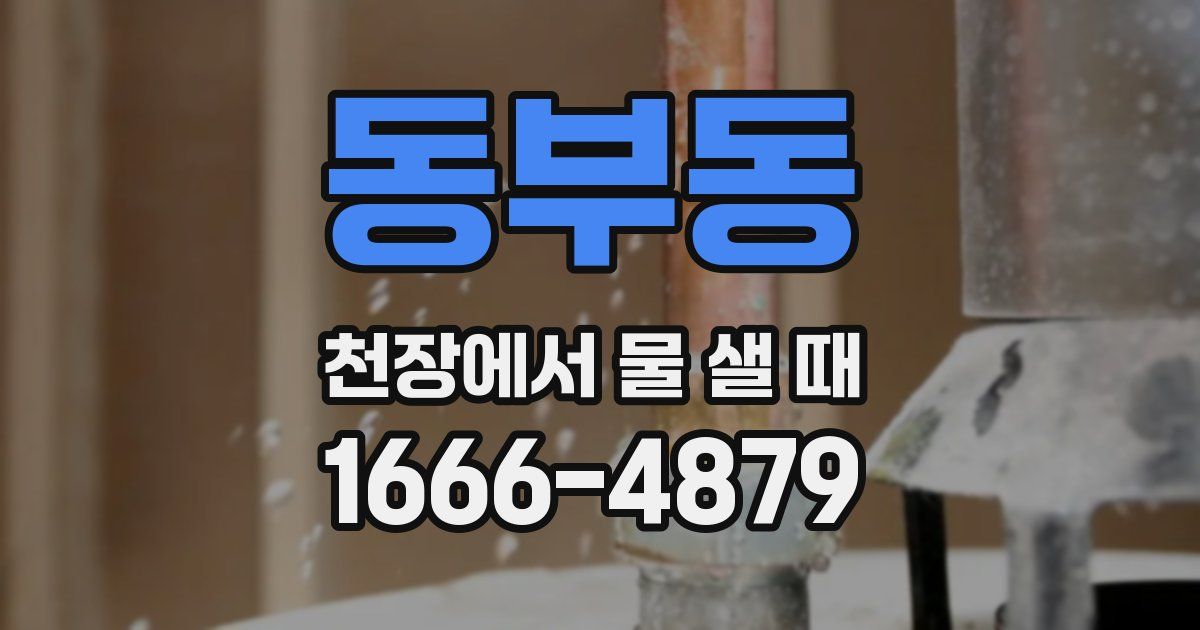 동부동 천장에서 물 샐 때