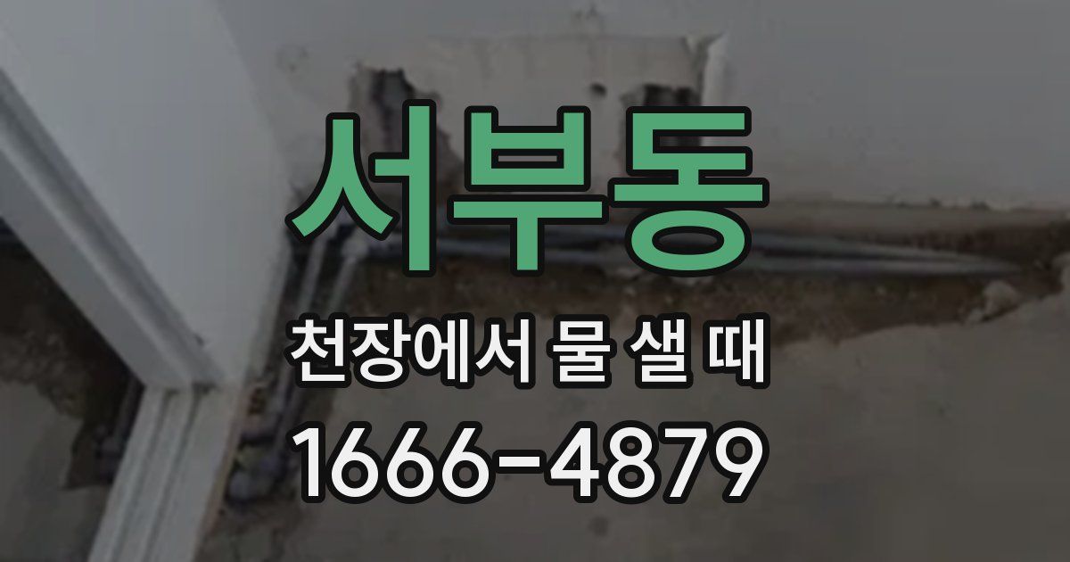 서부동 천장에서 물 샐 때