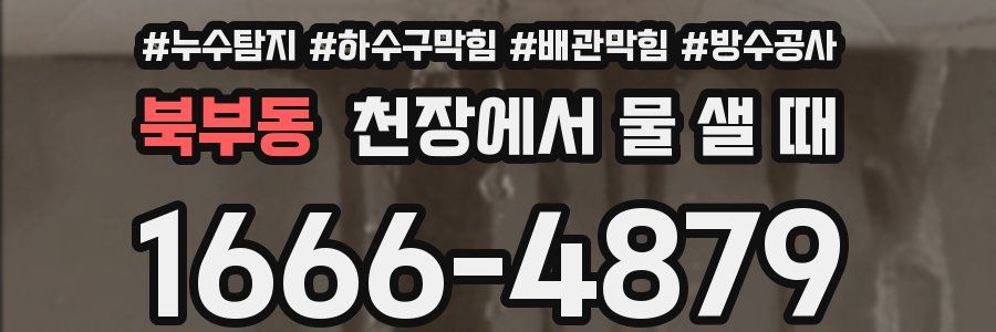 북부동 천장에서 물 샐 때