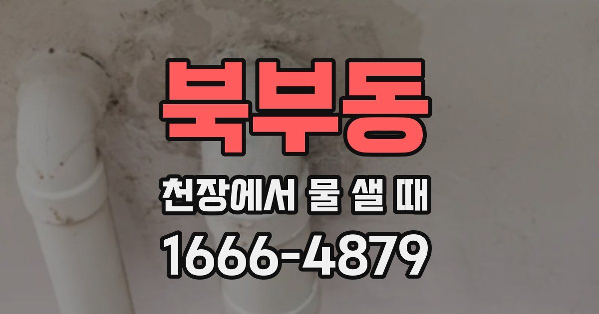 북부동 천장에서 물 샐 때