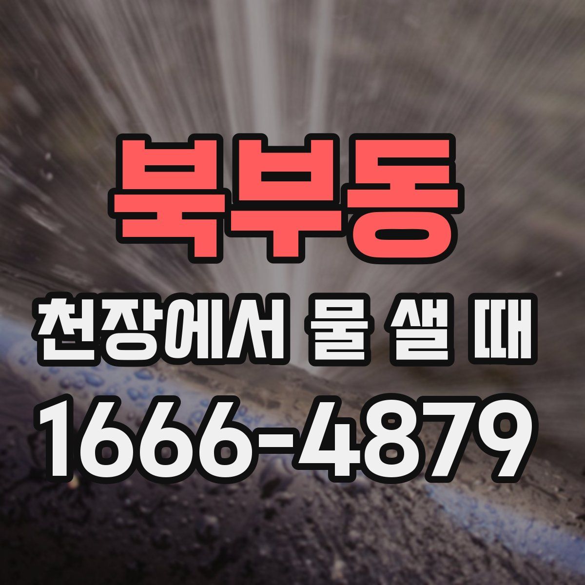 북부동 천장에서 물 샐 때
