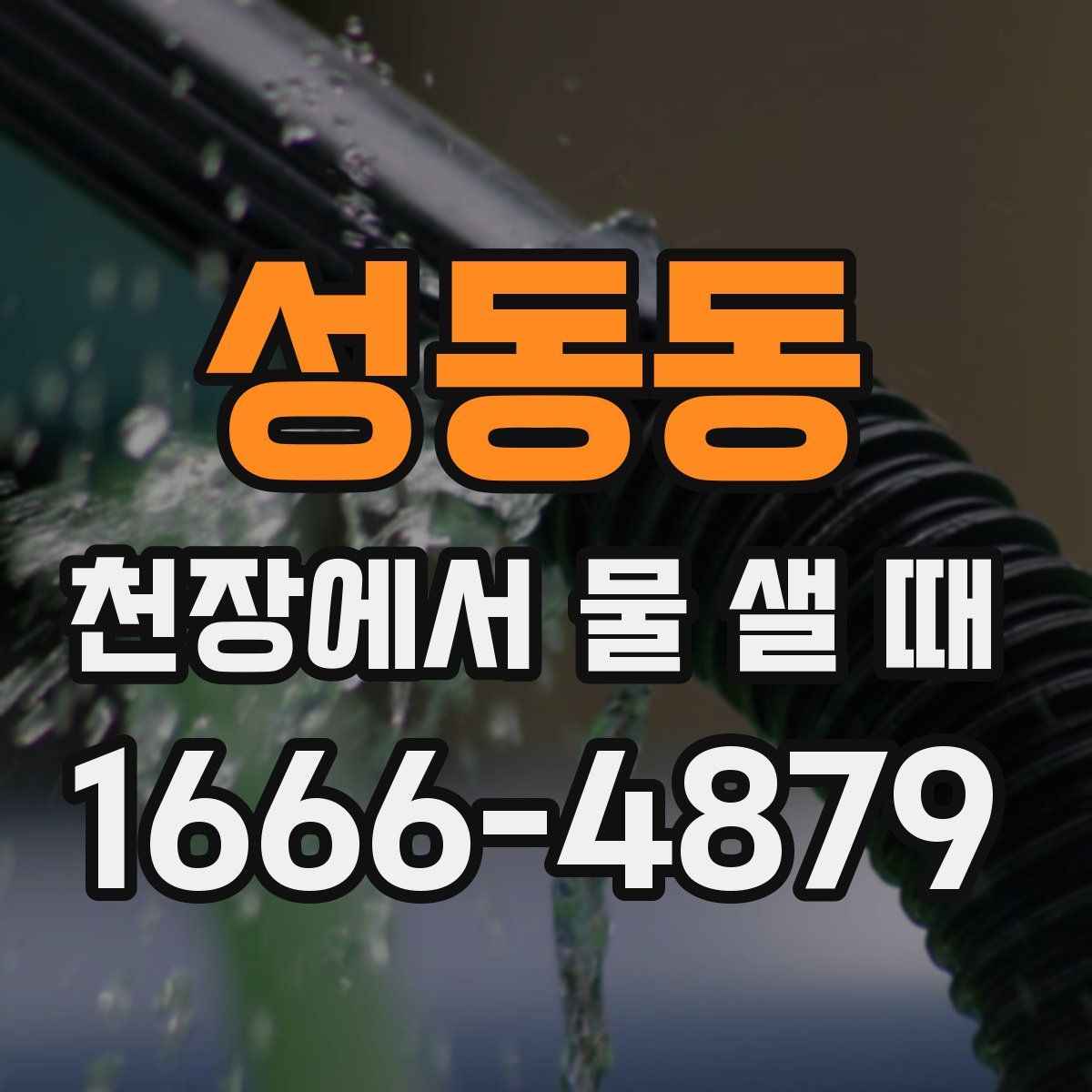 성동동 천장에서 물 샐 때