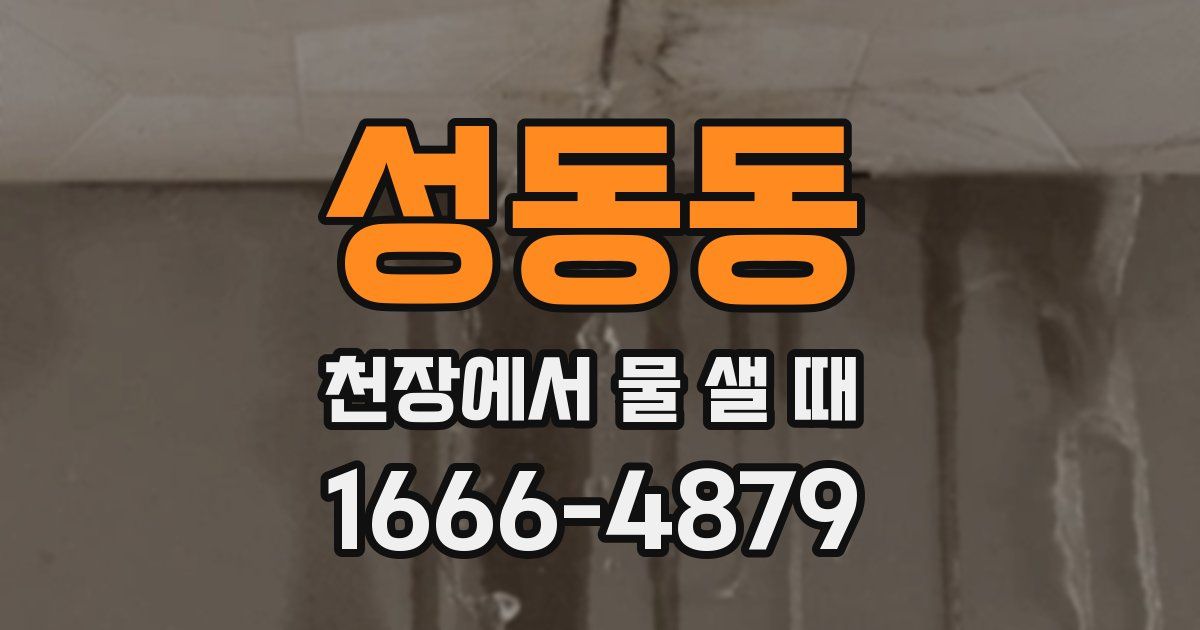 성동동 천장에서 물 샐 때