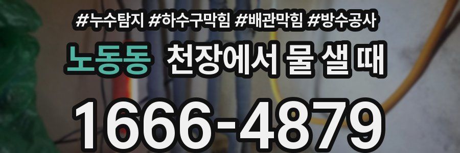 노동동 천장에서 물 샐 때