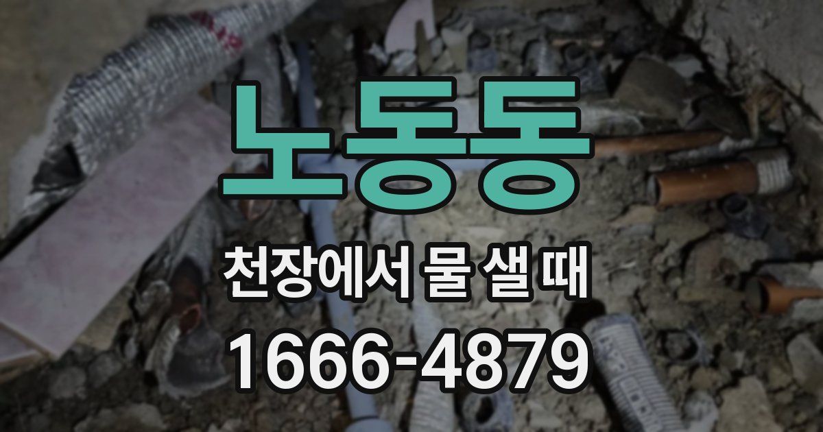 노동동 천장에서 물 샐 때